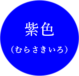 紫色（むらさきいろ）